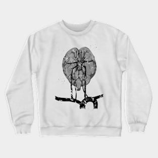 Brain and brainstem Crewneck Sweatshirt